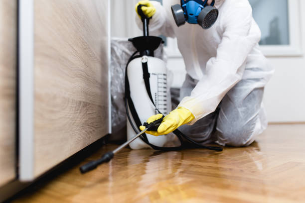Professional Pest Control in Midland City, AL