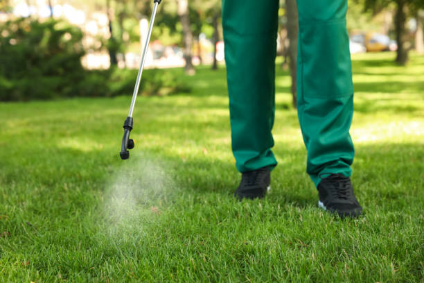 Best Bed Bug Extermination  in Midland City, AL