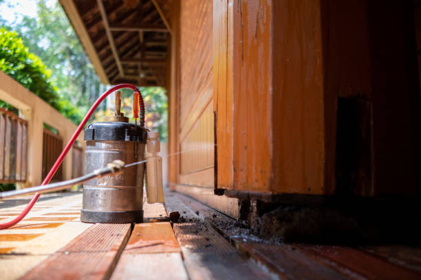 Best Pest Prevention Services  in Midland City, AL