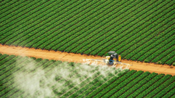 Best Best Pest Control Companies  in Midland City, AL