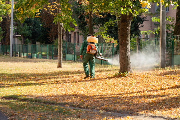 Best Best Pest Control Companies  in Midland City, AL