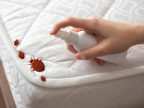 Best Pest Removal Services  in Midland City, AL