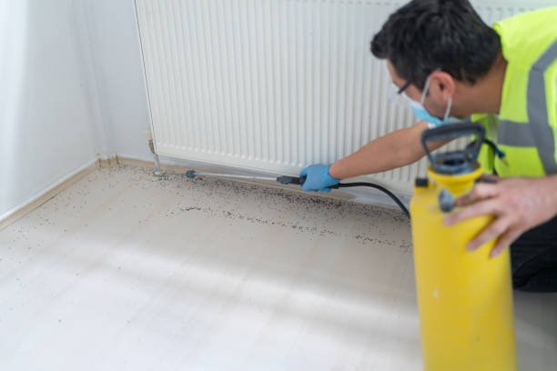 Best Best Pest Control Near Me  in Midland City, AL